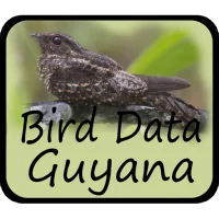 Bird Data - Guyana